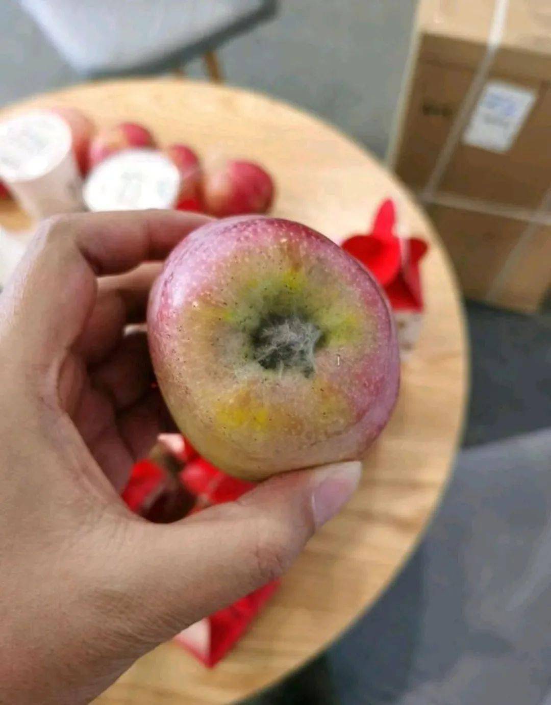 烂苹果俄语版俄罗斯小苹果原版音乐-第2张图片-太平洋在线下载