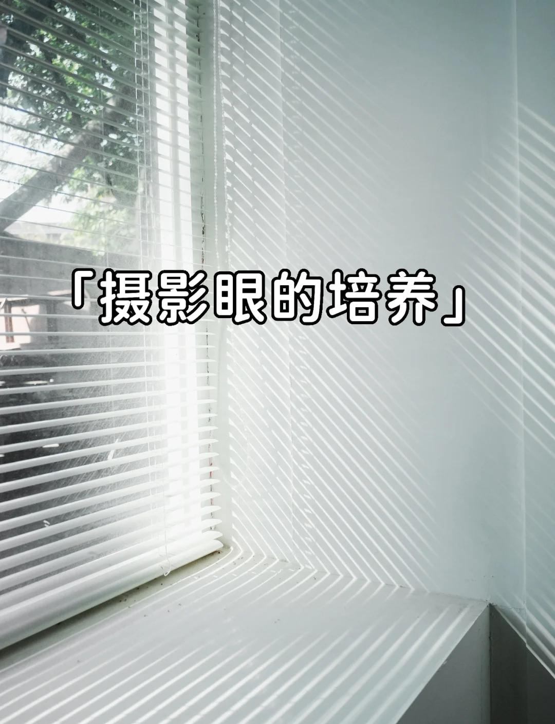 摄影眼苹果版苹果摄影app